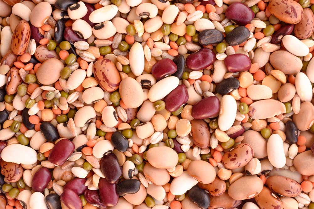 Dry Beans